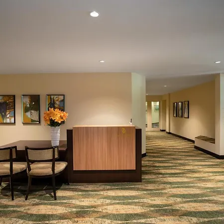 Belmont By Waldhaus フリムス